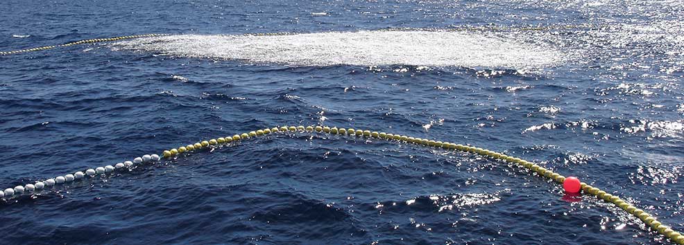 sardines-in-purse-seine-net-986x354.jpeg