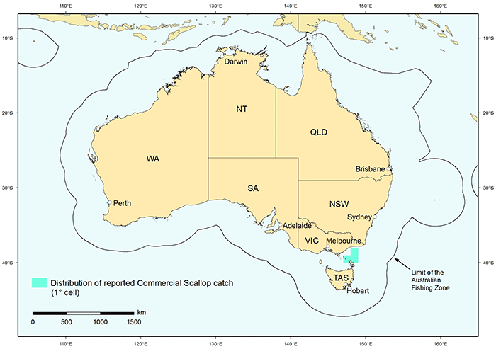 Commercial scallop map
