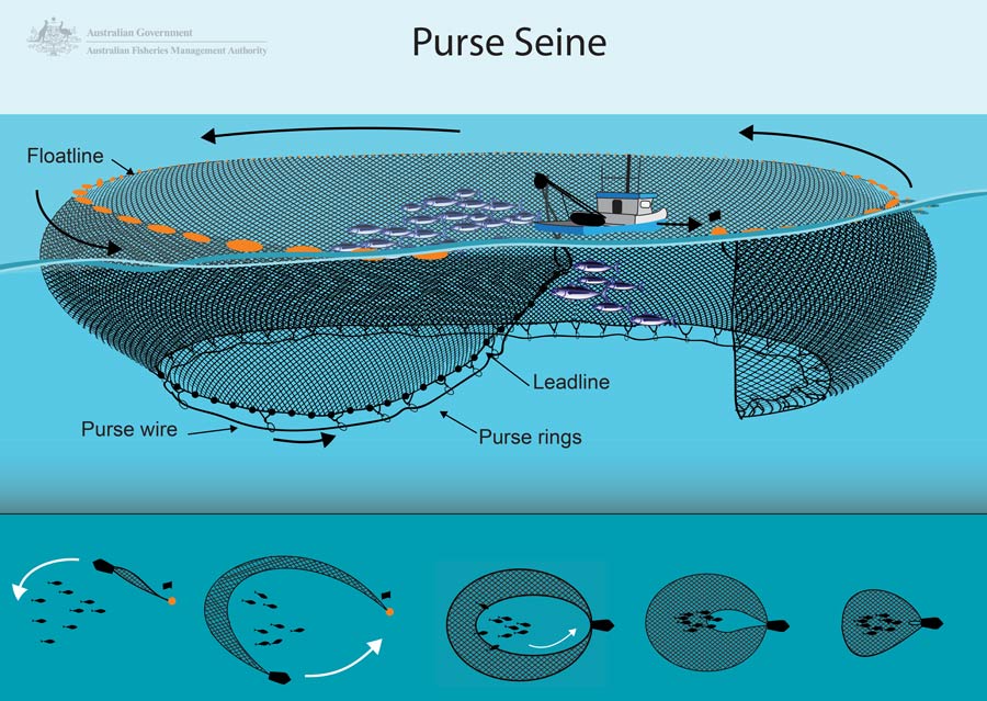 Purse seine