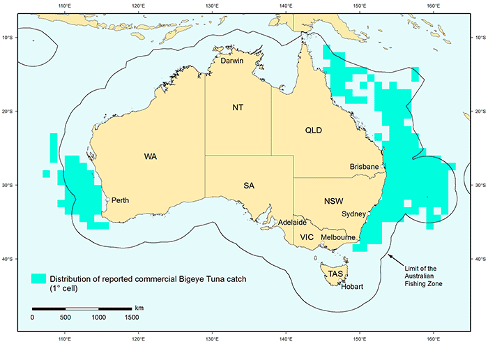 Bigeye tuna distribution map