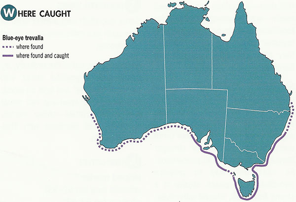 Blue eye trevalla distribution map