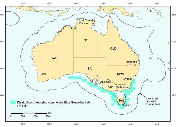 Blue grenadier distribution map