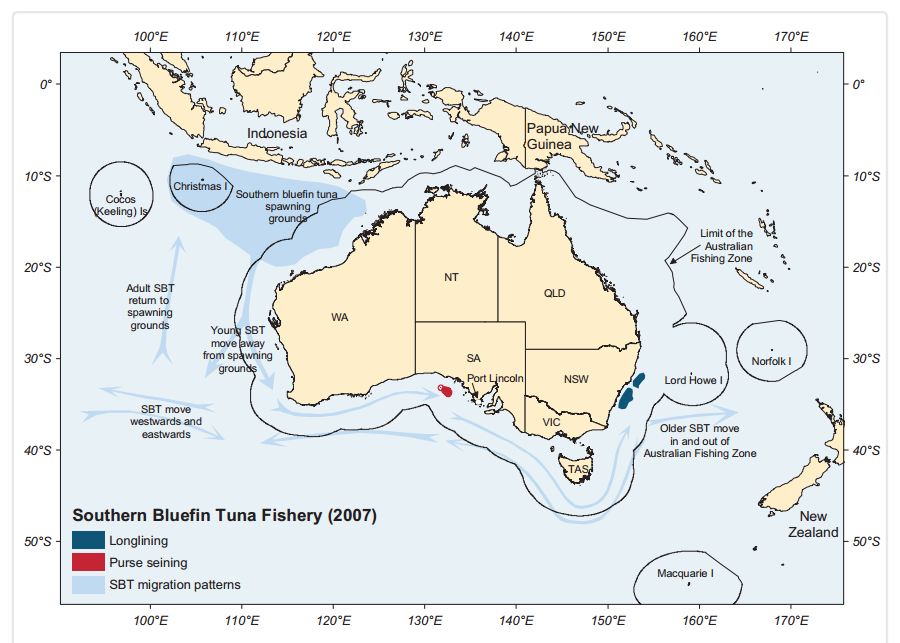 SBT distribution map