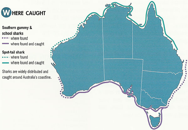 Gummy shark distribution map