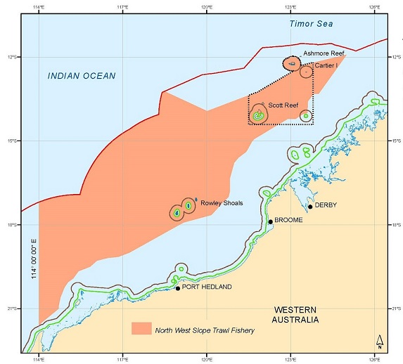 Scampi map