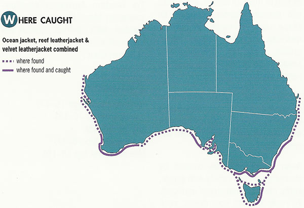 Ocean jacket distribution map