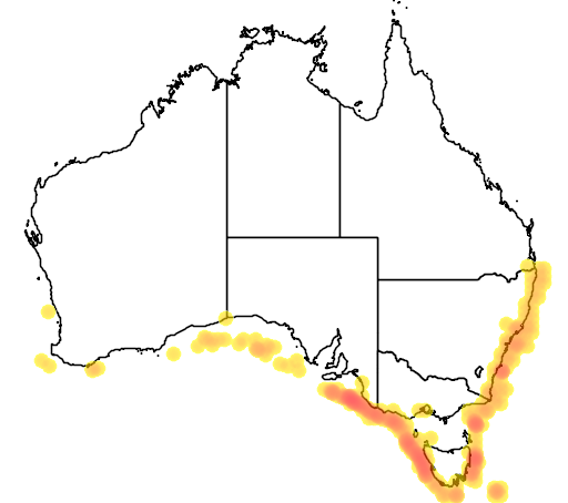 Orange roughy distribution map