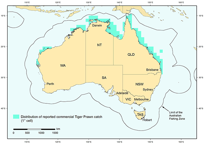 Tiger prawn map