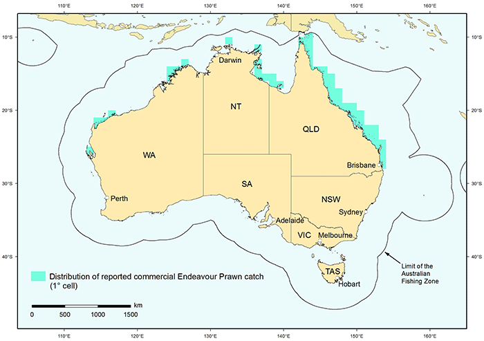 Endeavour prawn map