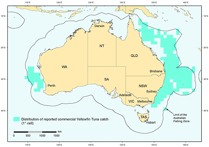 Yellowfin tuna distribution map