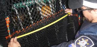 Studying Environmental Science led to a career as a Fisheries Officer