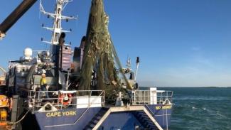 Working together to remove marine threats