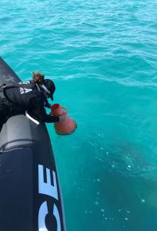 An AFMA Fisheries Officer inspects cages underwater