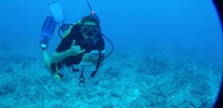 From studying marine biology in Townsville to managing fisheries in the Torres Strait