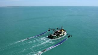 Managing fisheries in a changing climate