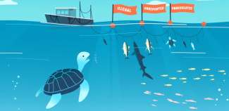 What is illegal, unreported and unregulated fishing?