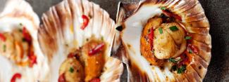 Cooked scallops