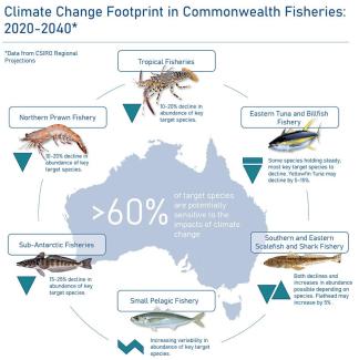 Impact of commonwealth fisheries infographic