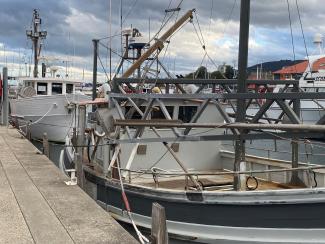 Boats moored at wharf