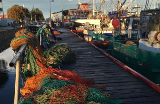 Danish seine nets