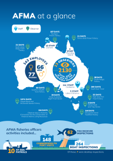 AFMA at a glance