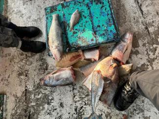 Indonesian fishing vessel