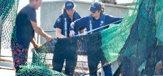 AFMA fisheries officer