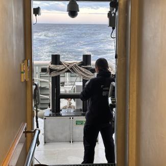 An AFMA officer stands in the doorway of a boat