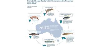 Climate Change Footprint in Commonwealth Fisheries 2020–2040