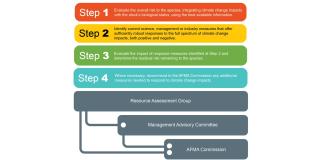 AFMA Climate Risk Framework Step 1–4