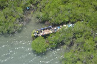 A large Indonesian fishing boat hidden in mangroves 