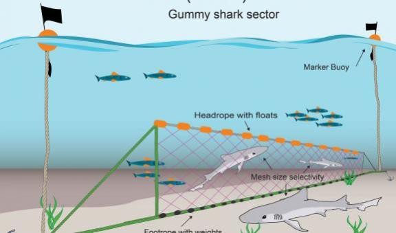 Methods and gear  Australian Fisheries Management Authority