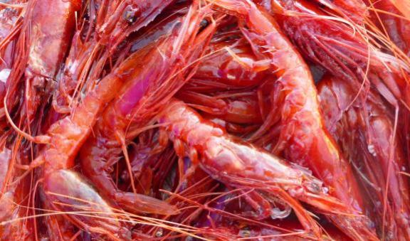 Royal red prawns