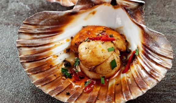 Scallops