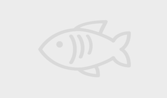 Fish icon