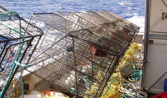 Fishing traps on board a boat